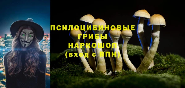 бошки Арсеньев