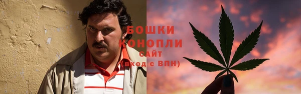 a pvp Аркадак