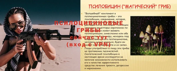 бошки Арсеньев